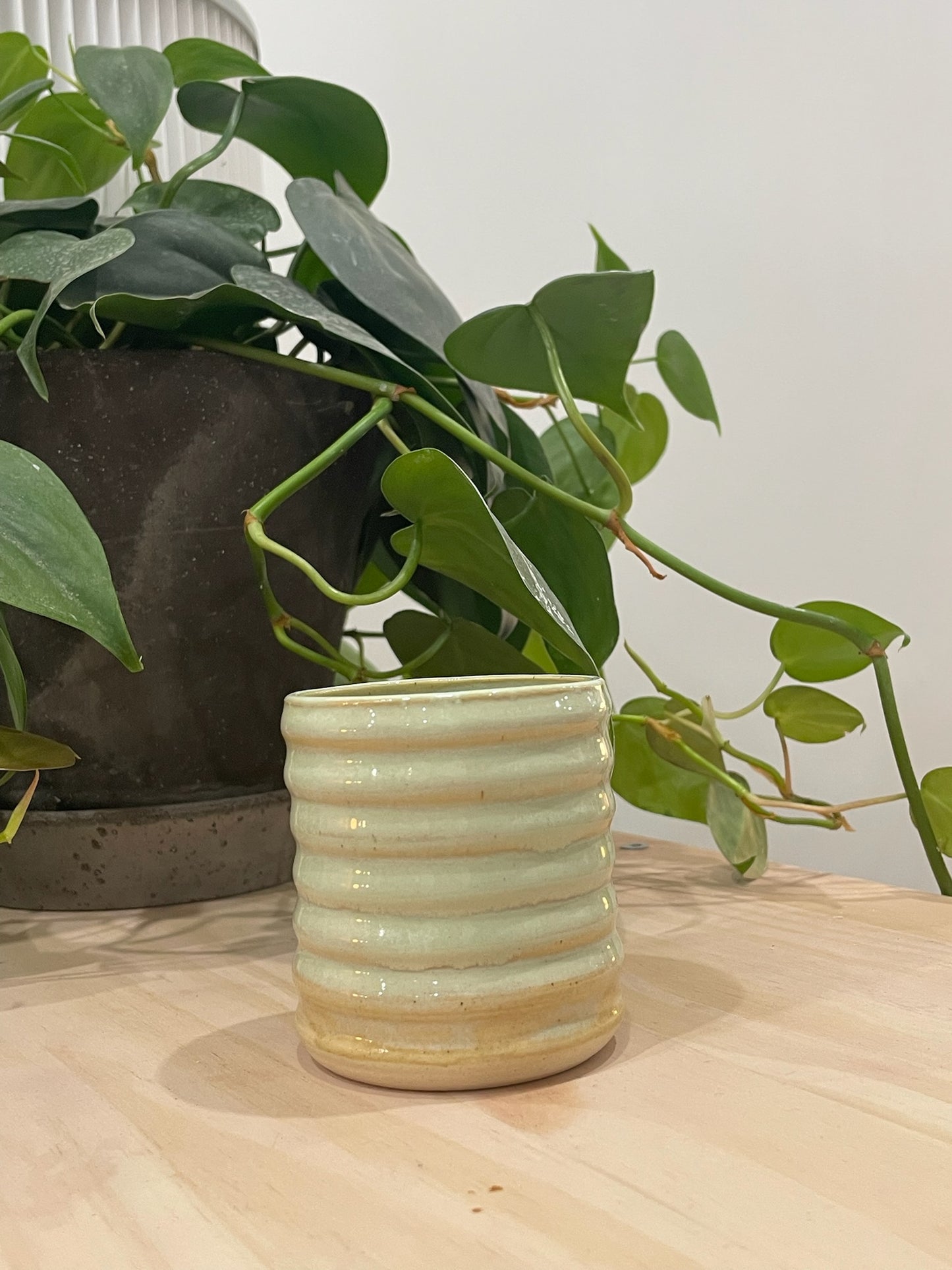 Kathleen / Pastel green cappuccino cup