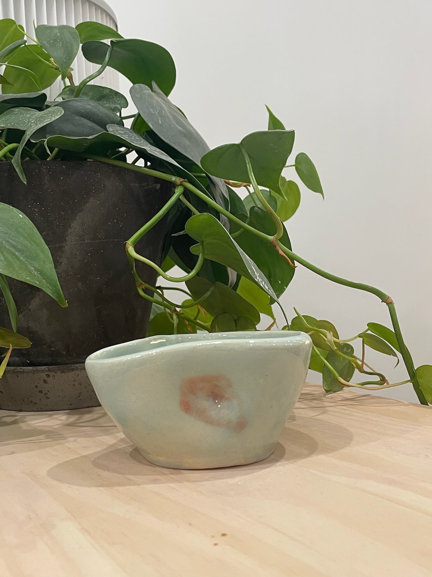 Freda / Blue bowl with red brush