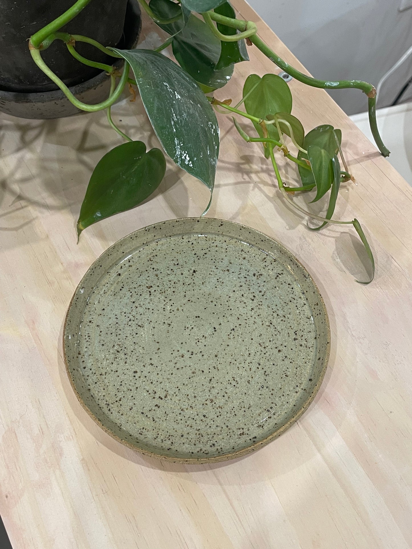 Keira / Speckled green plate
