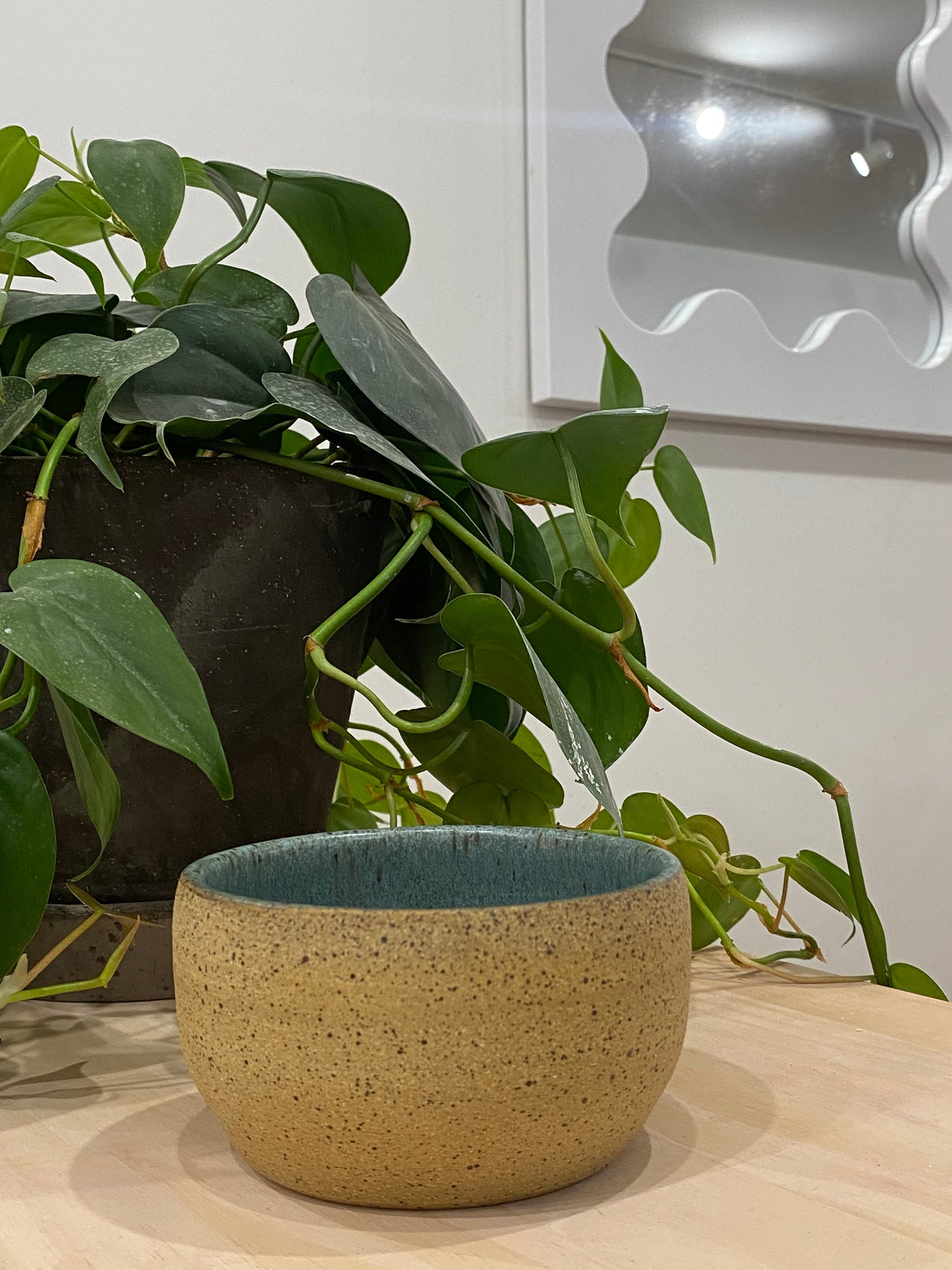 Allisyn / Speckled brown bowl