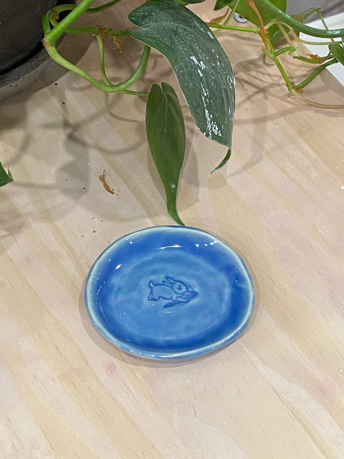 Judy / Bunny mini dish