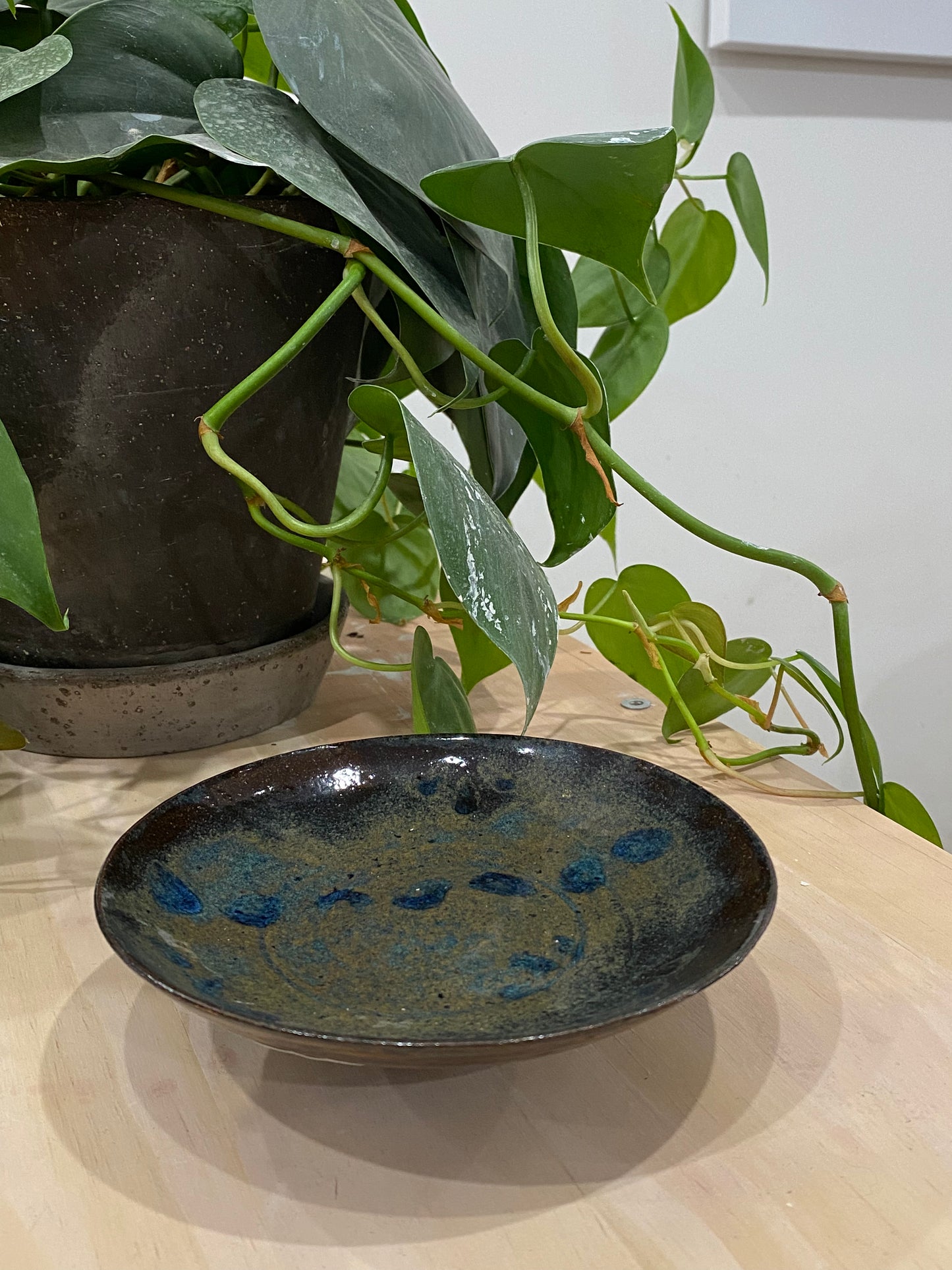 Marissa / Small brown plate with blue glaze on red clay