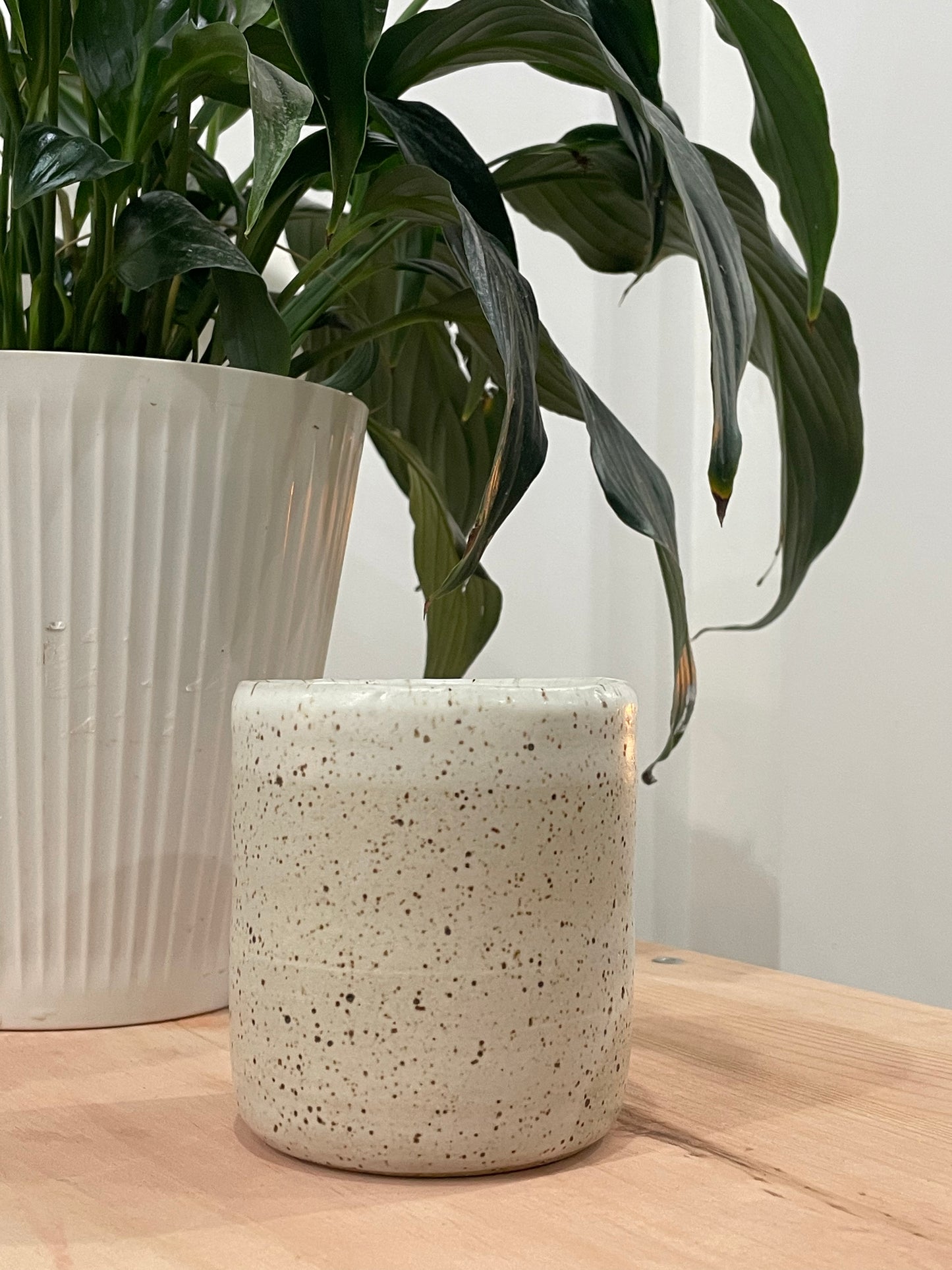 Kathleen / Speckled cup with white rim