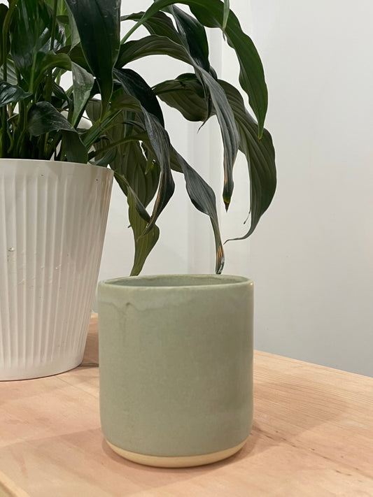 Kathleen / Cool grey cup