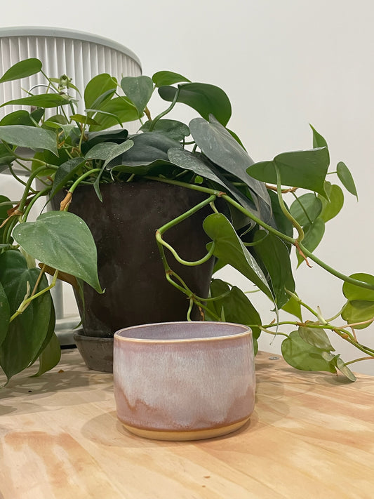 Judy / Short purple latte cup