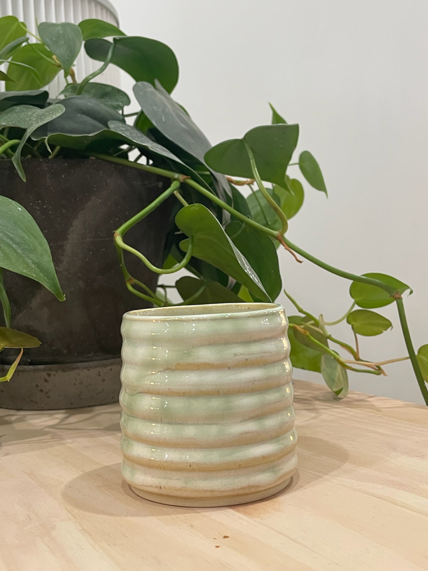 Kathleen / Green bubble cup