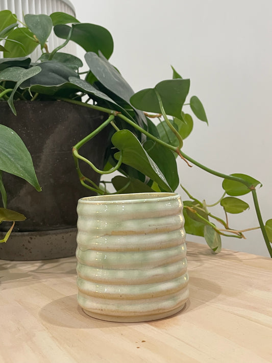 Kathleen / Green bubble cup
