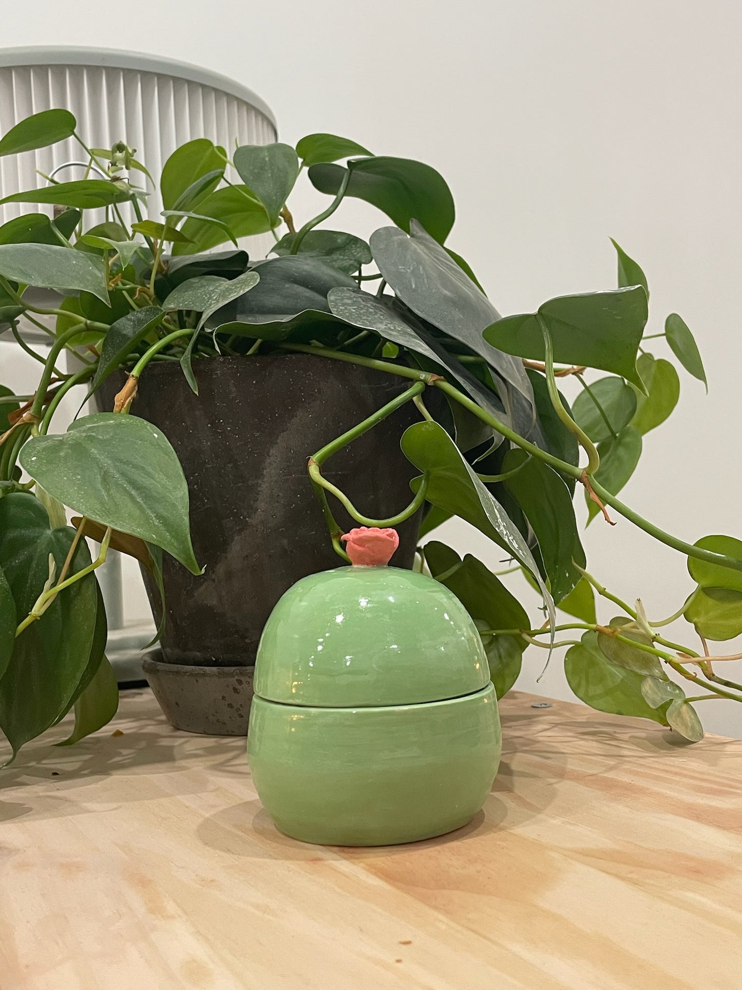 Judy / Pistachio green lidded jar with rose top