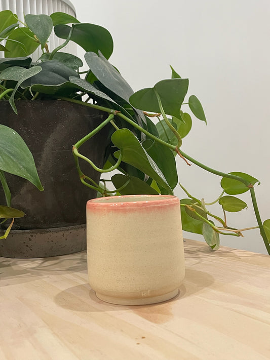 Kathleen / Creamy white cappuccino cup with pink rim