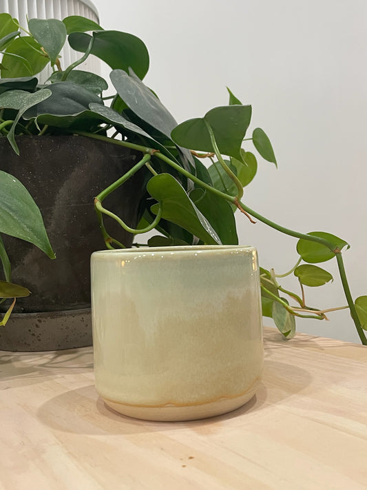 Kathleen / Beige mug with soft green waves