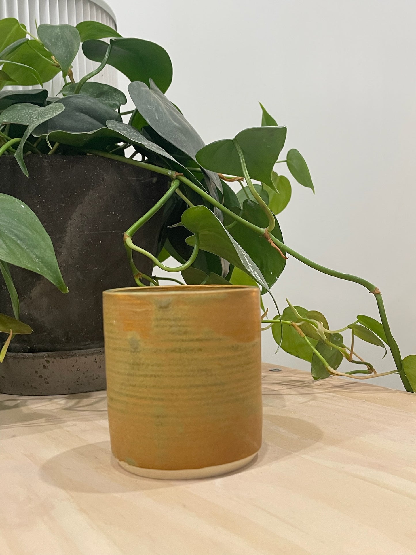 Kathleen / Dark golden cup