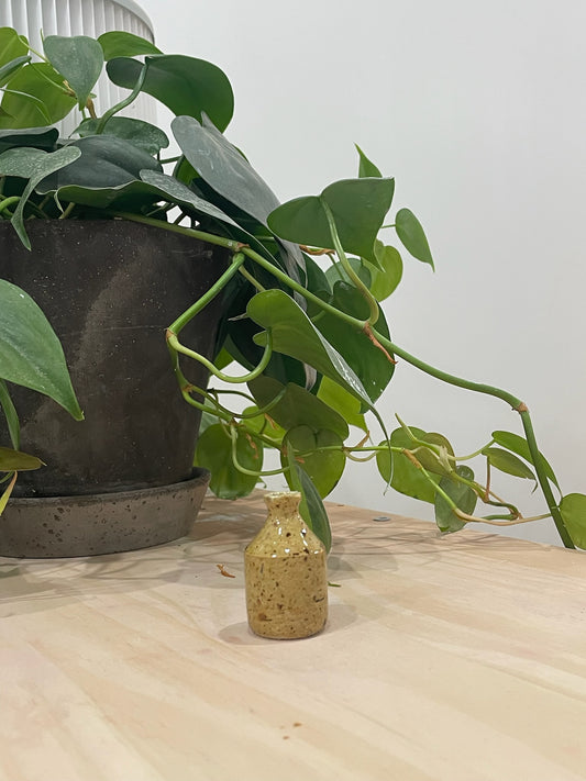 Reuben / Golden bud vase