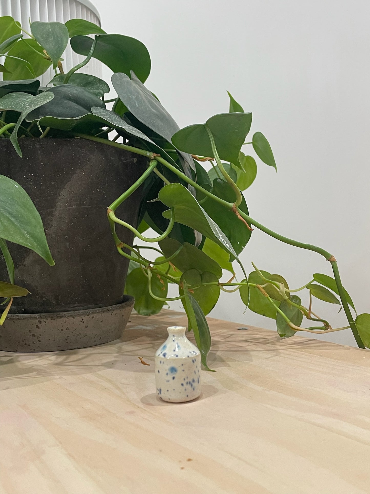 Reuben / Bud vase with blue speckles