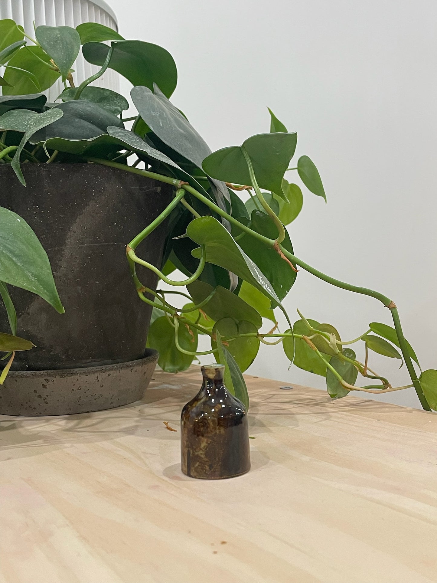 Reuben / Dark brown bud vase
