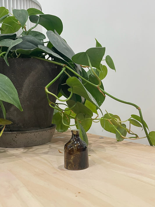 Reuben / Dark brown bud vase