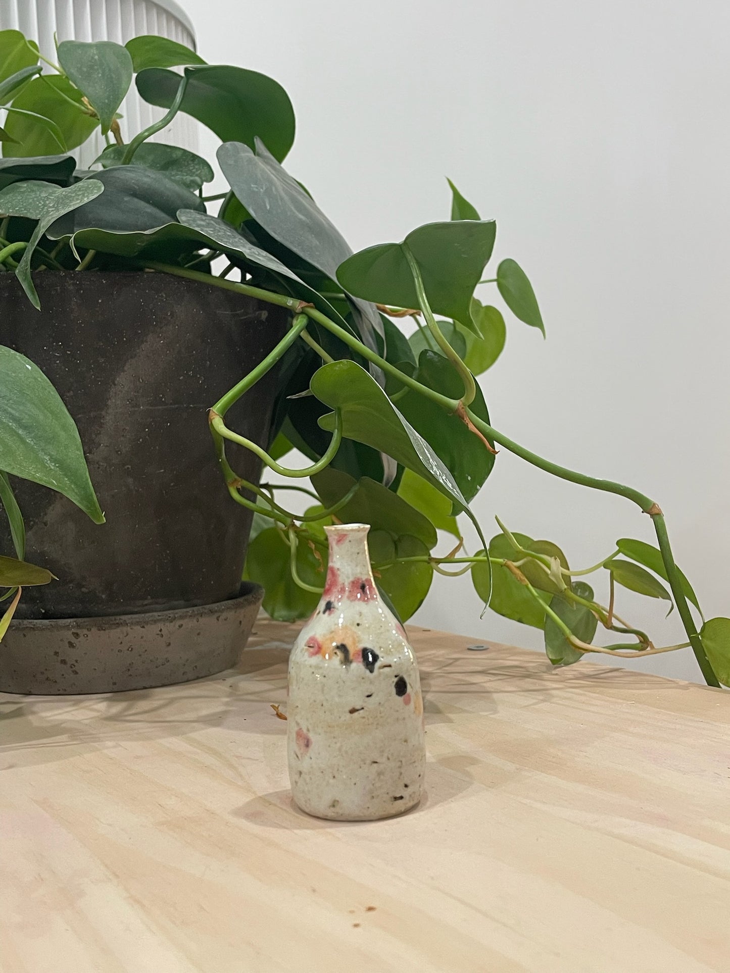 Reuben / Bud vase with pink and black speckles