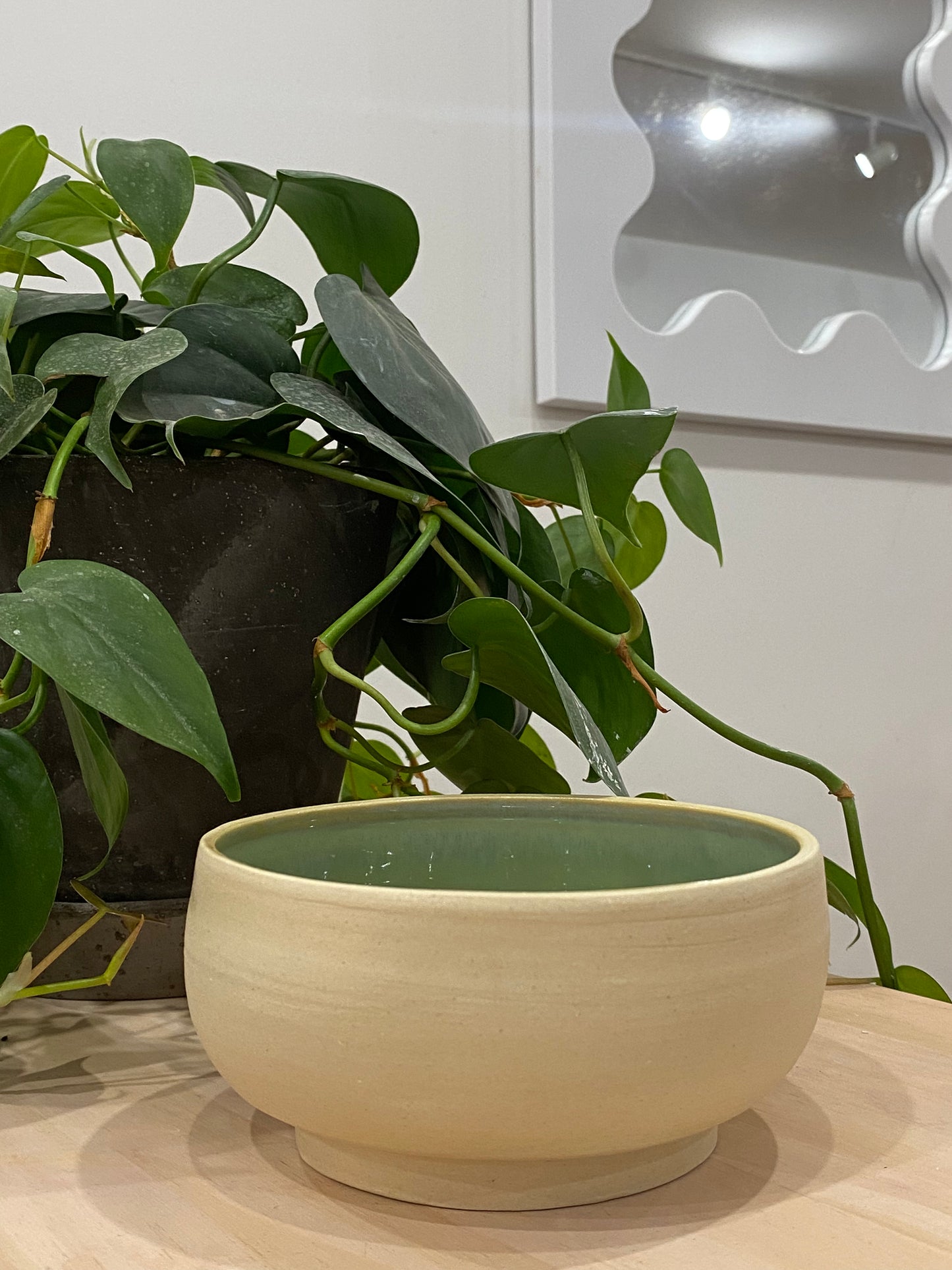 Judy / White bowl with green inside