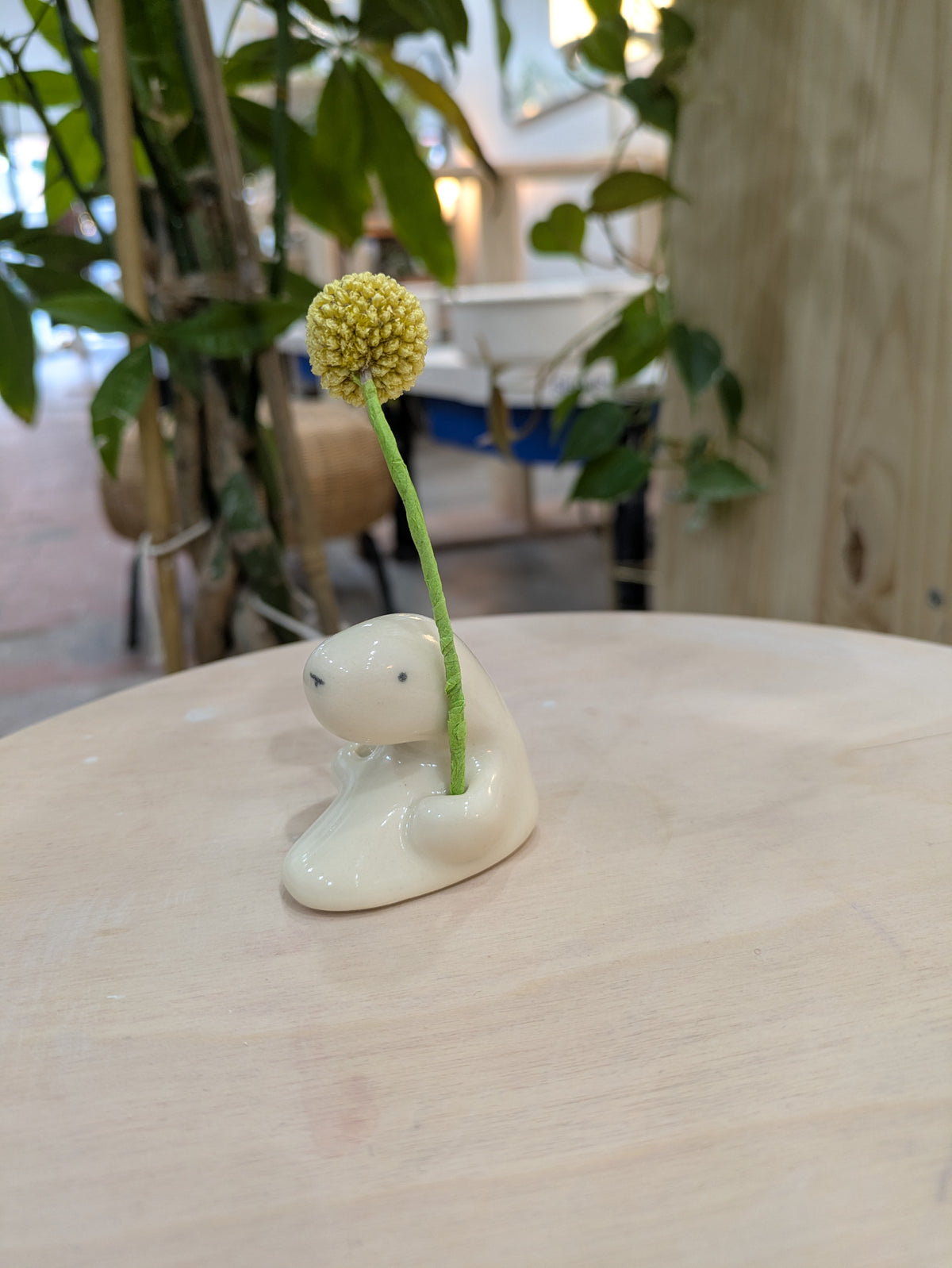 Emiko / seal holding a flower